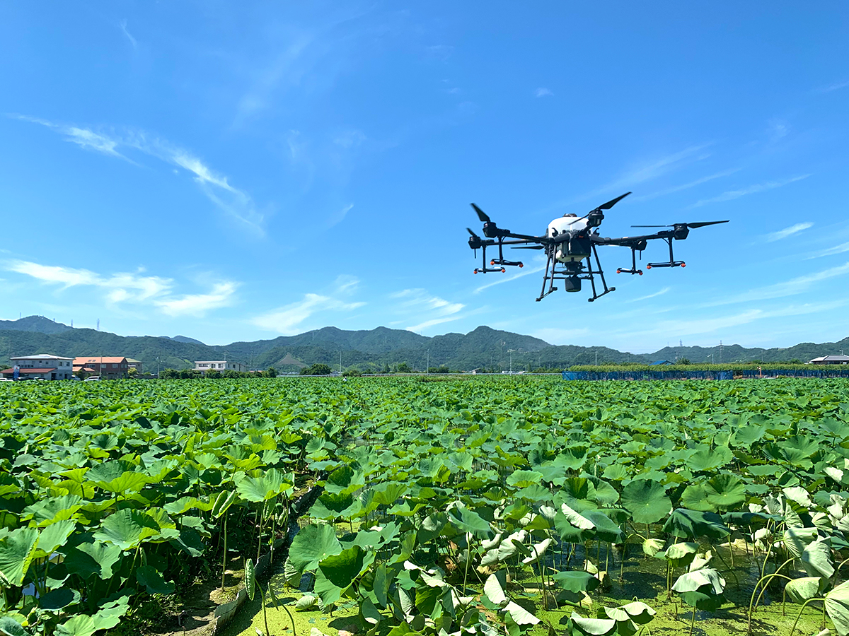 完全自動飛行ドローンを用いた スマート農業技術の開発 実証プロジェクト参画について お知らせ 三協商事株式会社
